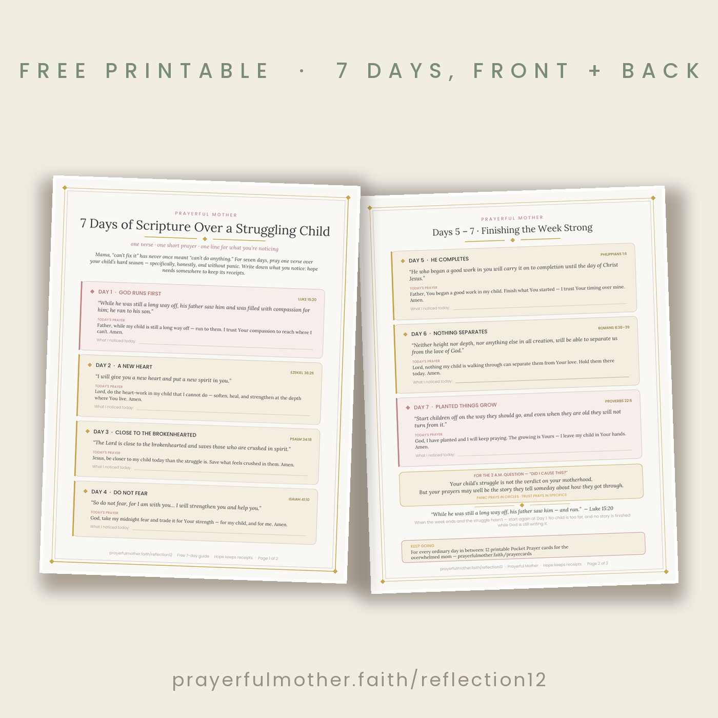 Preview — 7 days of scripture guide, front and back